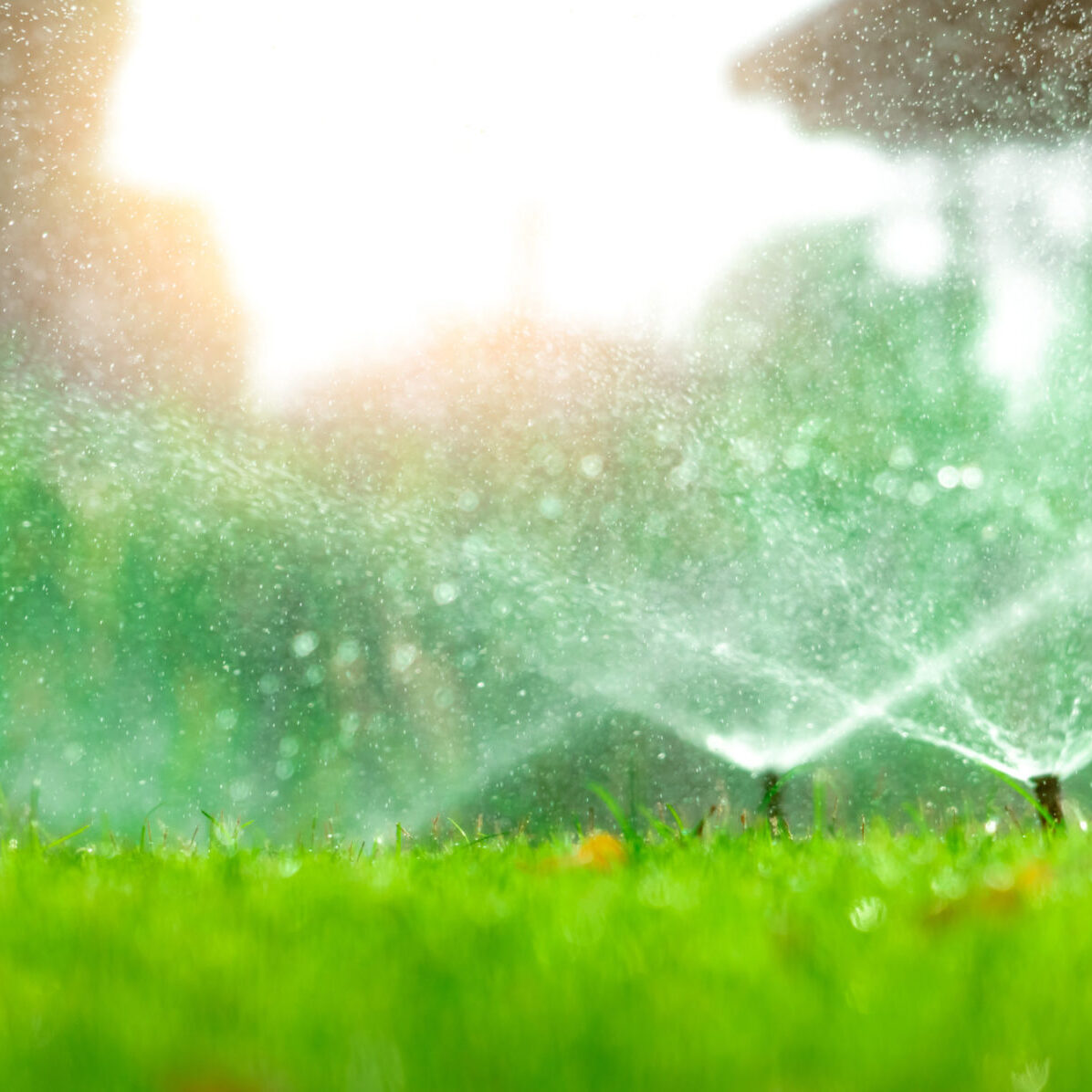 Automatic lawn sprinkler watering green grass. Sprinkler with automatic system. Garden irrigation system watering lawn. Water saving or water conservation from sprinkler system with adjustable head.