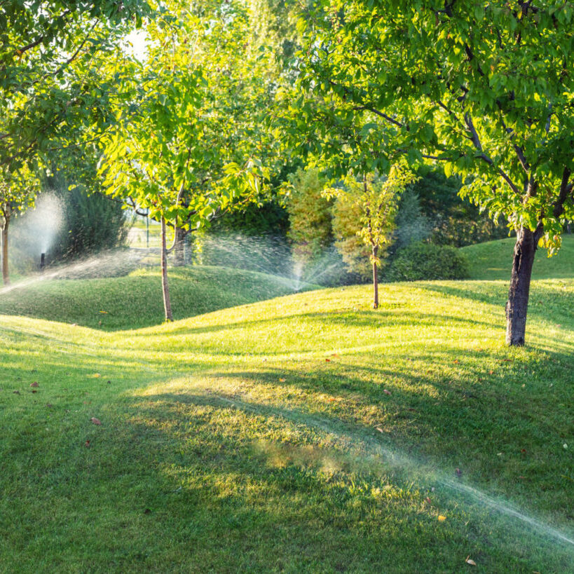 Landscape automatic garden watering system with different sprinklers installed under turf. Landscape design with lawn hills and fruit garden irrigated with smart autonomous sprayers at sunset time