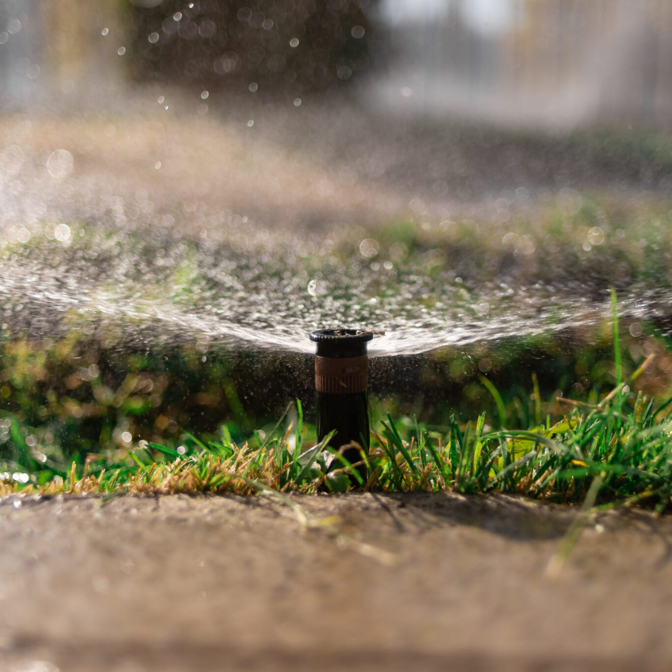 automatic watering sprinkler, beautiful green lawn watered