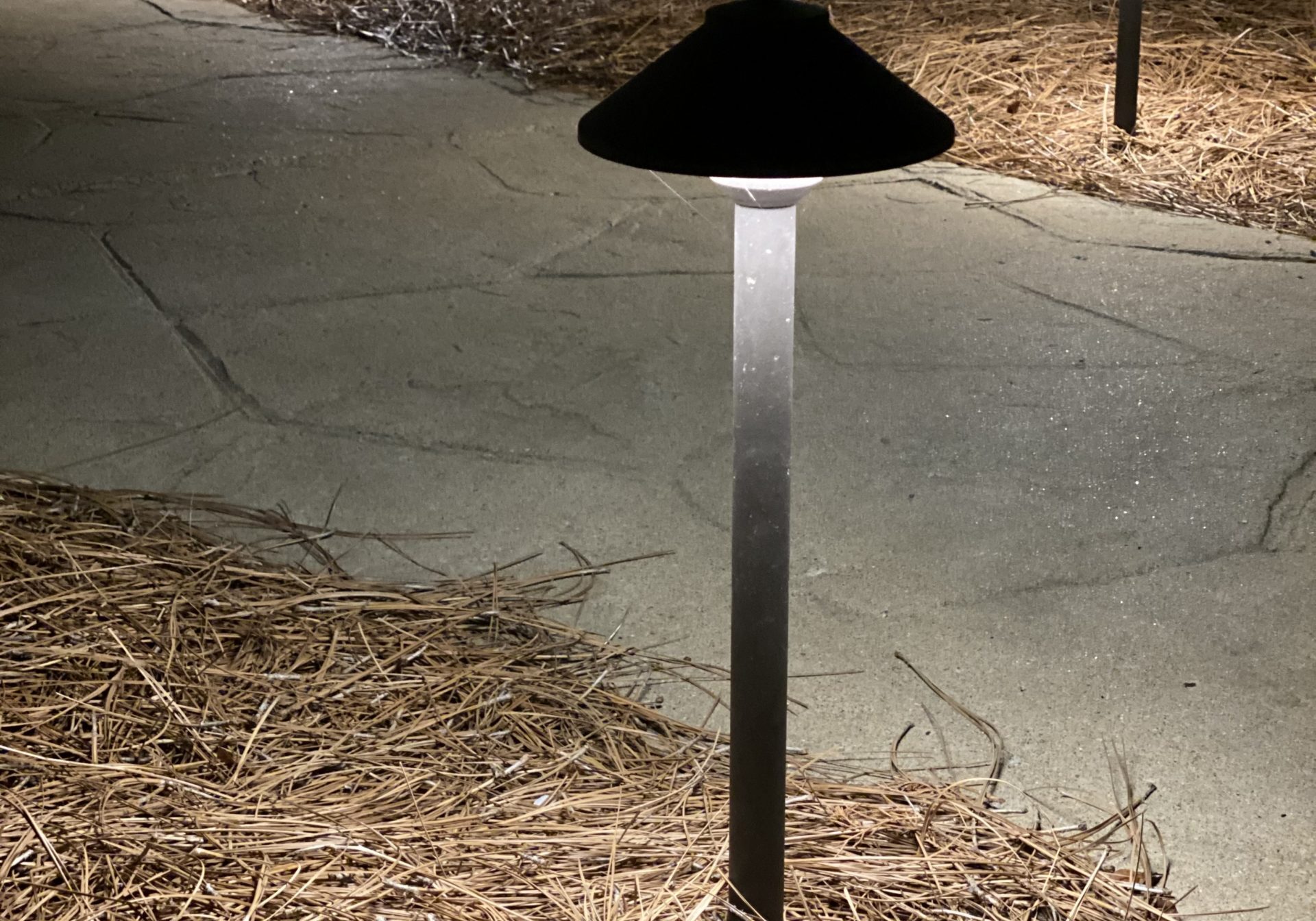 pathwaylighting2