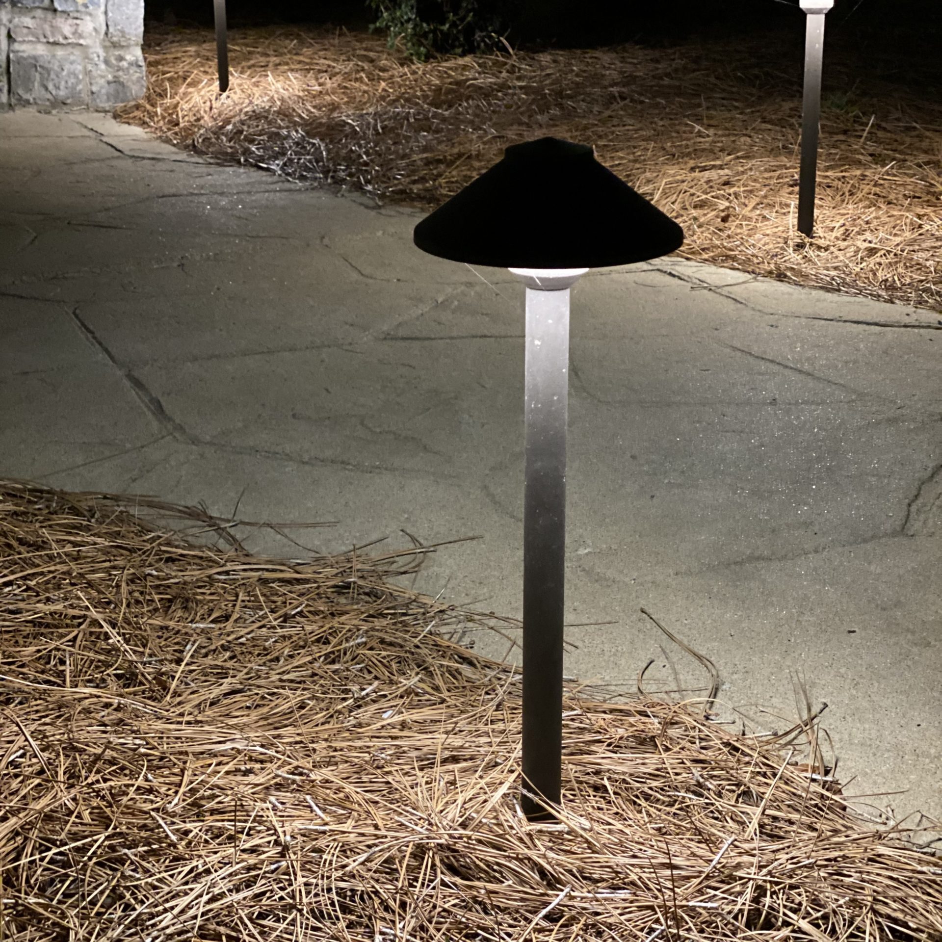 pathwaylighting2